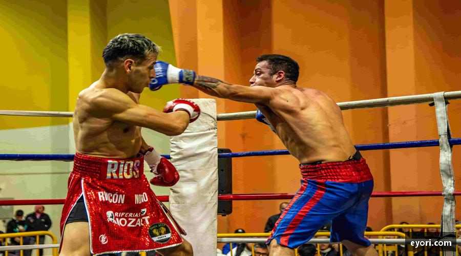 xingkong.com📱🎥 实时追踪，高清无死角！